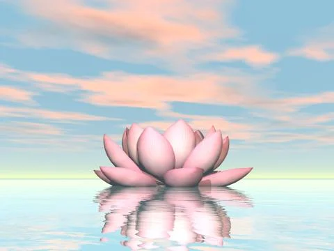 Lily lotus flower - 3D render Stock Illustration