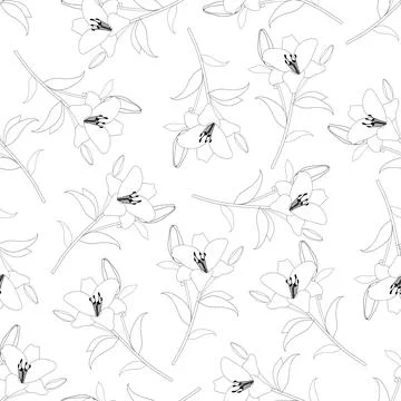 Lily Outline Background Stock Illustration