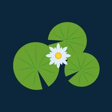 Lily pad and Lotus vector. wallpaper. free space for text. background. poster. 库存插图