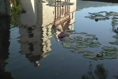 A lily pad pond reflects a Catholic mission in Santa Barbara, California. Stock Footage