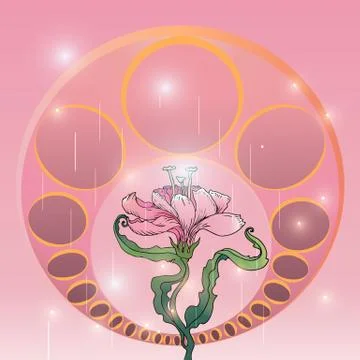 Lily  on pink background, creative hand draw vector background in art nuvo st Stock Illustration