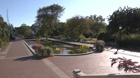 Lily Pond Pan 2 Stock Footage 10782086