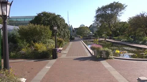 Lily Pond Pan Stock Footage 10778571