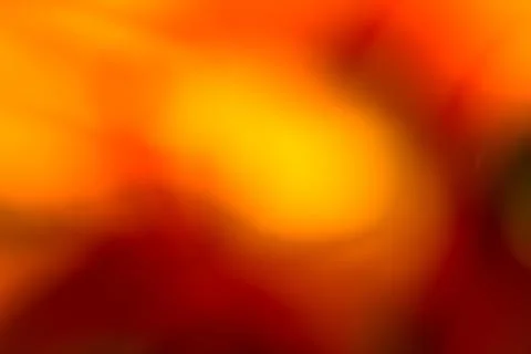 Lily red abstract texture. Macro photography with blur Stock Photos