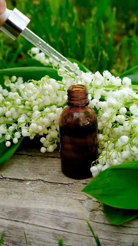 Lily of the valley extract in a bottle. Selective focus. Stock Footage 312452964