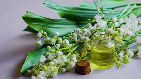 Lily of the valley extract in a small bottle. Selective focus. Stock Footage 155071457