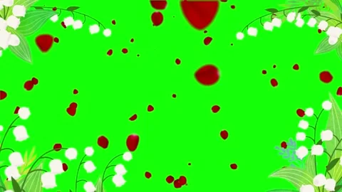 Lily of the valley flowers with falling red rose petals on a green screen backgr 스톡 동영상 334019856