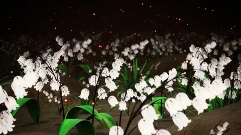 Lily of the Valley Flowers Vídeo Stock 163497032