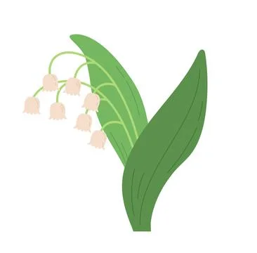 Lily of the valley flowers spring vector illustration Stock Illustration