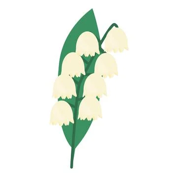 Lily of the valley icon isolated vector illustration. may lily flower. Stock Illustration
