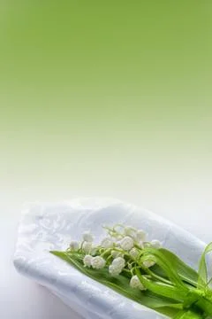 Lily of the valley Stock Photos
