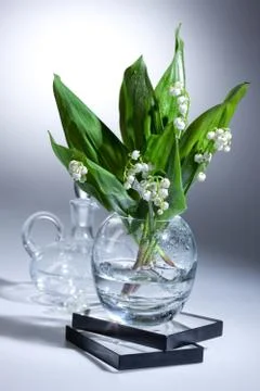 Lily Of The Valley Stock Photos
