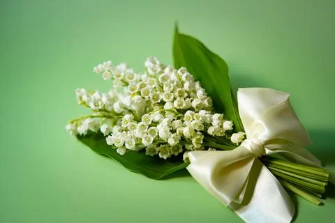 Lily of valley Stock Photos