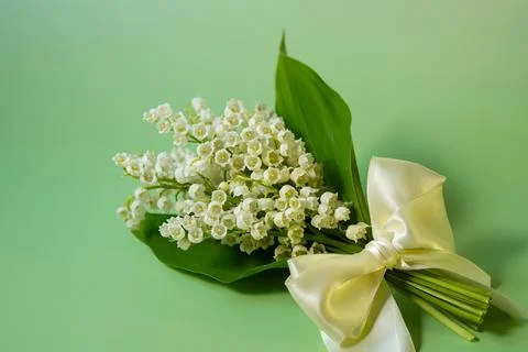 Lily of valley Stock Photos
