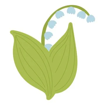 Lily of the valley. Vector illustration of a spring flower Stock Illustration