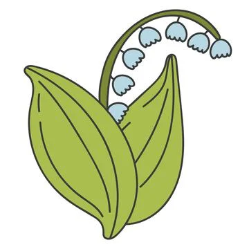 Lily of the valley. Vector illustration of a spring flower Stock Illustration