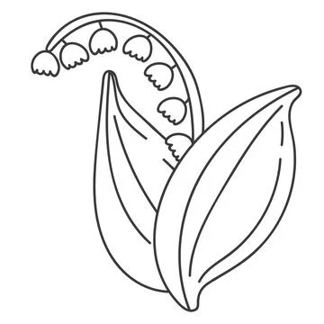 Lily of the valley. Vector illustration of a spring flower Stock Illustration