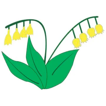 Lily of the valley on a white background Stock Illustration