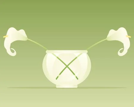 Lily vase Stock Illustration