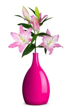 Lily in vase  Stock Photos