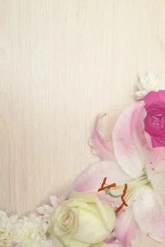 Lily on wooden background 库存照片