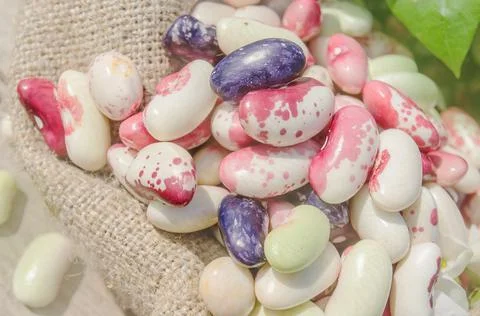 Lima beans in burlap bag Stock Photos