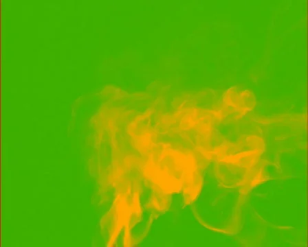 Lima Lime 스톡 동영상 104868