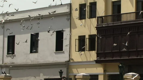 Lima Peru Vidéo 40780648