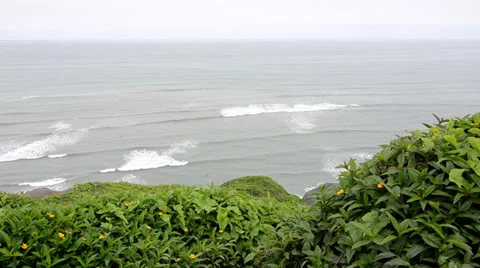 Lima Peru, Green coast Stock Footage 39787293