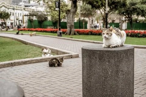 Lima, Peru Stock Photos