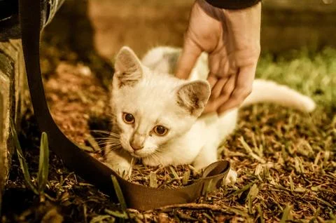 Lima, Peru Stock Photos