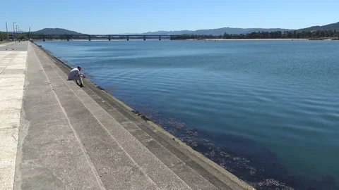 Lima river and Eiffel bridge, Viana Do Castelo Vídeo Stock 156176597