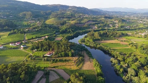 Lima River Meandering Through Lush Forested Valley Stock Footage 341247371