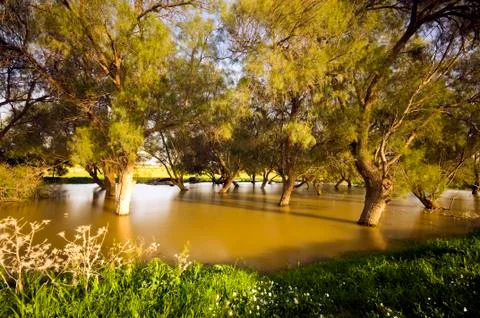 A Liman an artificial earthen construction collect floodwater Stock Photos