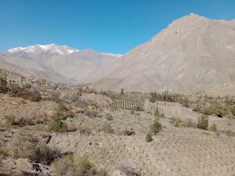 Limarí - Chile Stock Photos