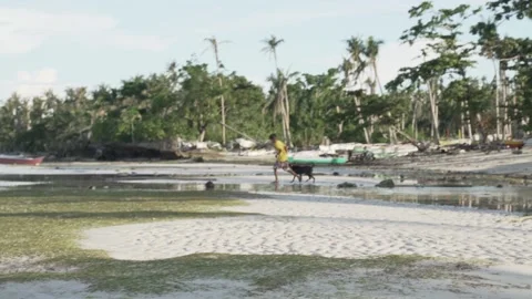 Limasawa Island Stock Footage 229654314