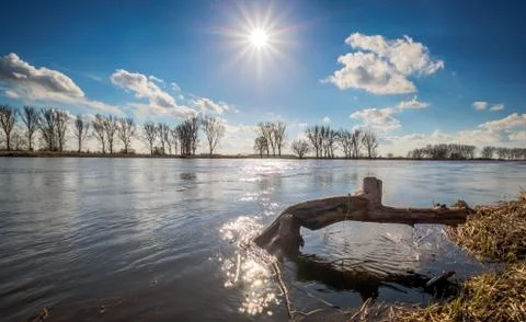 Limb in the river Stock Photos