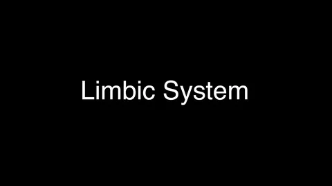 Limbic System Stock Footage 113227820