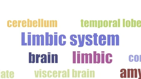 Limbic System Wordcloud Animated On White Background Stock Footage 103658497