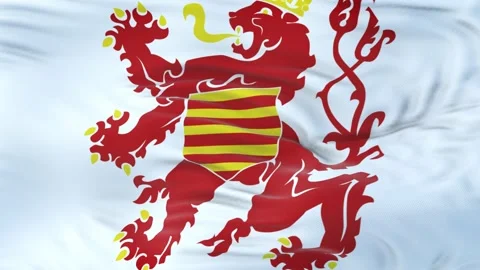 Limburg flag waving in the wind with highly detailed fabric texture 動画素材 134903280