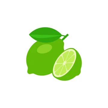 Lime and cut pieces vector illustration isolated on white background Stock Illustration