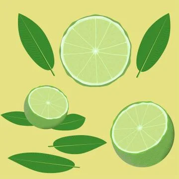Lime and leaves Stock Illustration