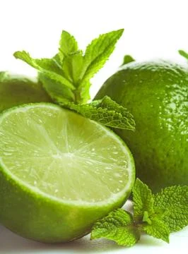 Lime and mint isolated Stock Photos