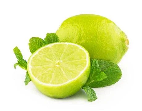 Lime and mint isolated on white background. Stock Photos