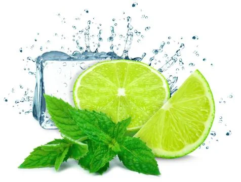 Lime and mint Stock Photos