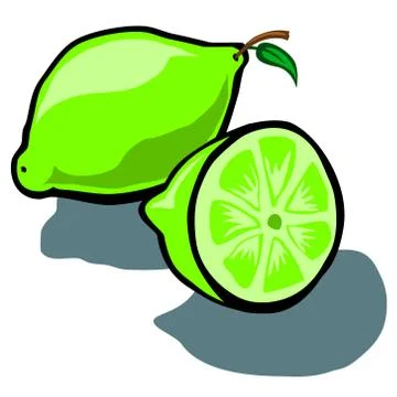 Lime and Slice Stock Illustration
