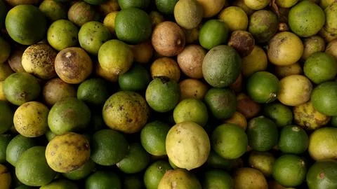 Lime background Stock Photos