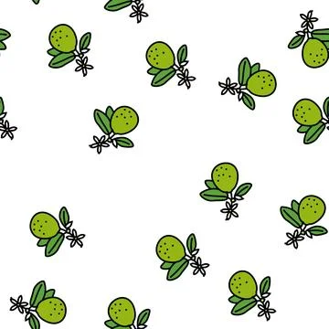 Lime blossom vector seamless pattern Stock Illustration
