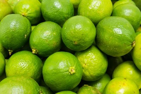 Lime citrus fruit Stock Photos
