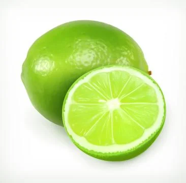Lime, citrus fruit vector icon Stock Illustration